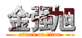 金强旭 (attack on titan)
