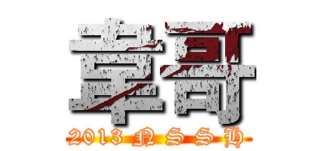 韋哥 ( 2013 N S S H )