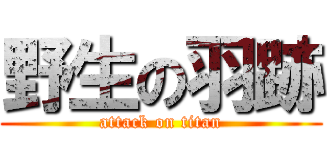 野生の羽跡 (attack on titan)