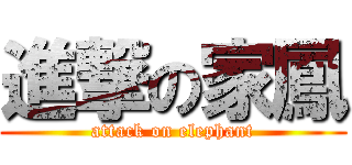 進撃の家鳳 (attack on elephant)