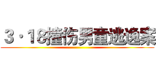３·１８撞伤男童逃逸案 ()