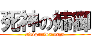 死神の姉御 (sinigaminoanego)