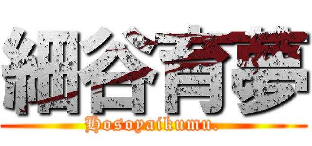 細谷育夢 (Hosoyaikumu.)