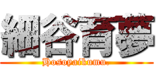 細谷育夢 (Hosoyaikumu.)