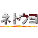 ネトウヨ (日本最優先)