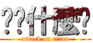 你說什麼呢 (attack on titan)