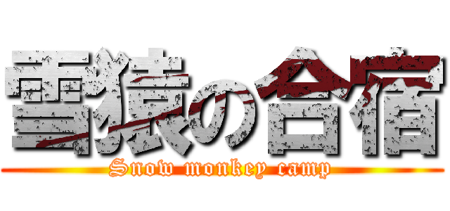 雪猿の合宿 (Snow monkey camp)