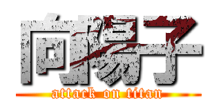 向陽子 (attack on titan)