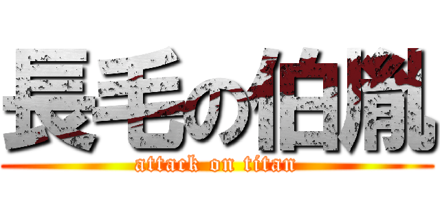 長毛の伯胤 (attack on titan)