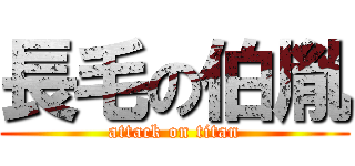 長毛の伯胤 (attack on titan)