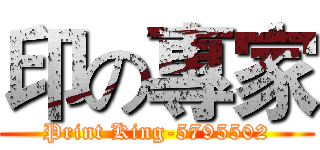 印の專家 (Print King-5795502)