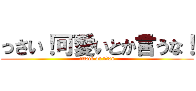 っさい！可愛いとか言うな！ (attack on titan)