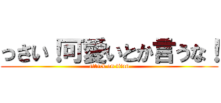 っさい！可愛いとか言うな！ (attack on titan)