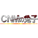 ＣＮＭの兔子 (fuck)