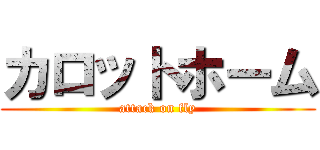 カロットホーム (attack on fly)
