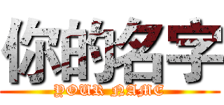 你的名字 (YOUR NAME)