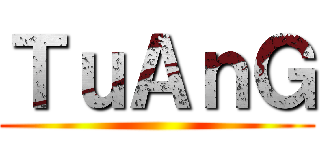 ＴｕＡｎＧ ()