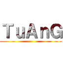 ＴｕＡｎＧ ()