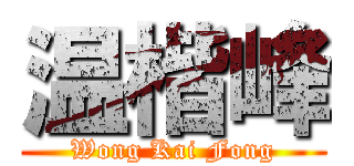 温楷峰 (Wong Kai Fong)