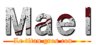 Ｍａｅｌ (Le titan gros con   )