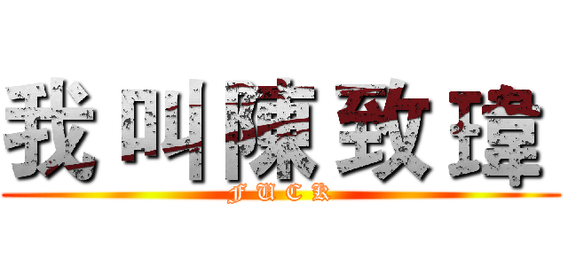 我 叫 陳 致 瑋  (F U C K)