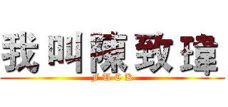 我 叫 陳 致 瑋  (F U C K)