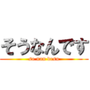 そうなんです (so nan desu)