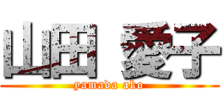 山田 愛子 (yamada ako)