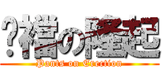 褲襠の隆起 (Pants on Erection)