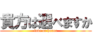 貴方は選べますか (love or honor)