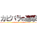 カピバラの進撃 (attack on titan)