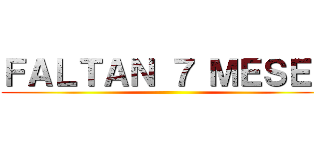 ＦＡＬＴＡＮ ７ ＭＥＳＥＳ ()