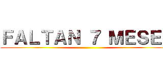 ＦＡＬＴＡＮ ７ ＭＥＳＥＳ ()