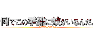 何でこの季節に蚊がいるんだよ (Fuckin' mosquito )