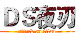 ＤＳ夜刃 (attack on titan)