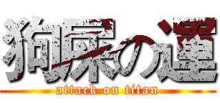 狗屎の運 (attack on titan)