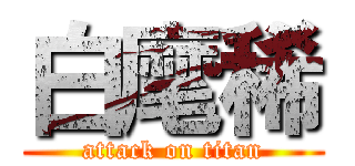 白麾稀 (attack on titan)