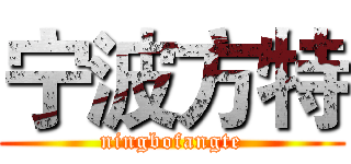 宁波方特 (ningbofangte)