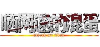 晒网速的混蛋 (attack on titan)
