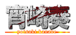 宵崎奏 (yoisaki kanade)