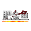 肥金鱼 ()
