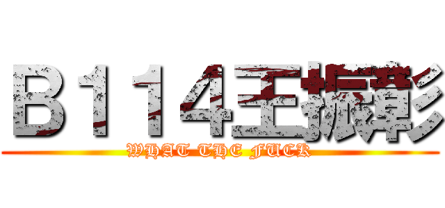 Ｂ１１４王振彰 (WHAT THE FUCK)