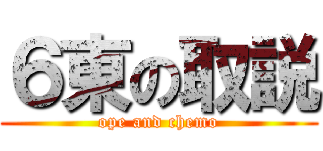 ６東の取説 (ope and chemo)