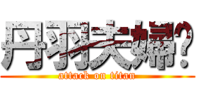 丹羽夫婦♡ (attack on titan)