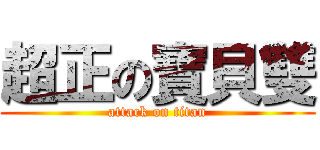 超正の寶貝雙 (attack on titan)