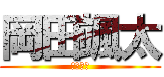 岡田颯太 (だよーん)