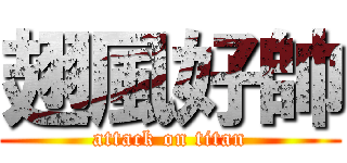 翅風好帥 (attack on titan)