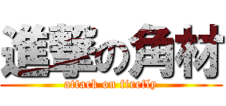 進撃の角材 (attack on firefly)