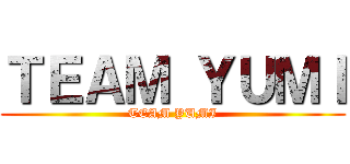 ＴＥＡＭ ＹＵＭＩ (TEAM YUMI)