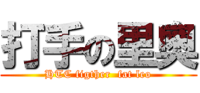 打手の里奧 (HTC figther  fat leo)